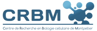 CRBM