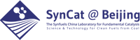 SynCat@Beijing