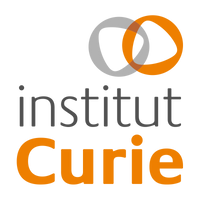 Institut Curie