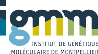 Institut de Génétique Moléculaire de Montpellier (IGMM)