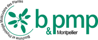 B&PMP (Biochemistry and Plant Molecular Physiology)