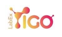 LabEx IGO