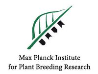 Department of Comparative Development and Genetics at Max Planck Institute for Plant Breeding Research