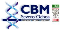 Centre for Molecular Biology "Severo Ochoa" (CBMSO)