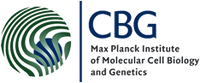 Max Planck Institute of Molecular Cell Biology and Genetics (MPI-CBG)