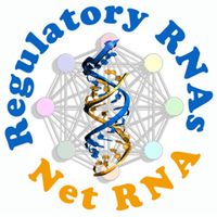 LabEx NetRNA