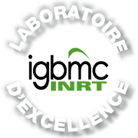 LabEx INRT