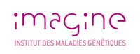 Imagine Institute