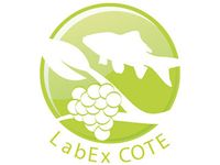 LabEx COTE