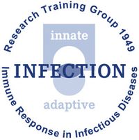 Research Training Group 1949 Immune Response in Infectious Diseases – Regulation between Innate and Adaptive Immunity