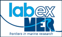 LabexMER
