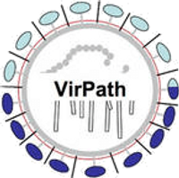 VirPath