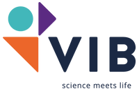 VIB