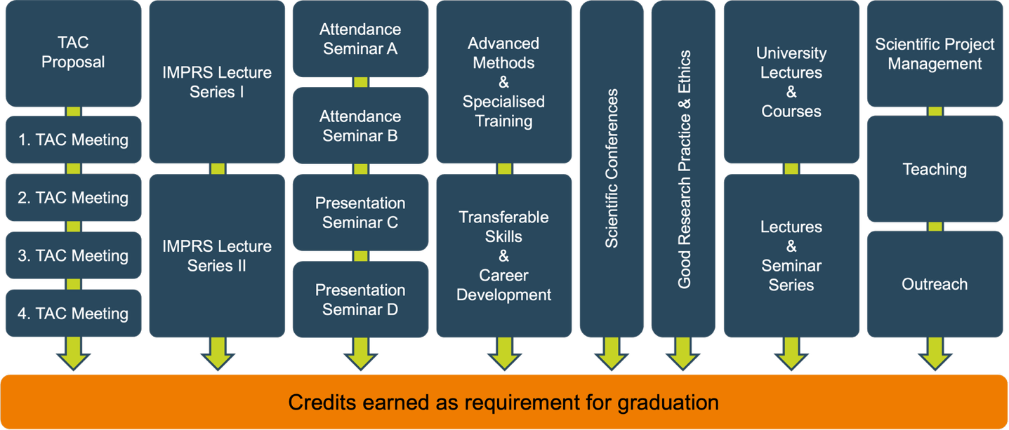 A diagram of a program

AI-generated content may be incorrect.