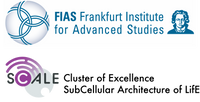 Frankfurt Institute for Advanced Studies (FIAS)