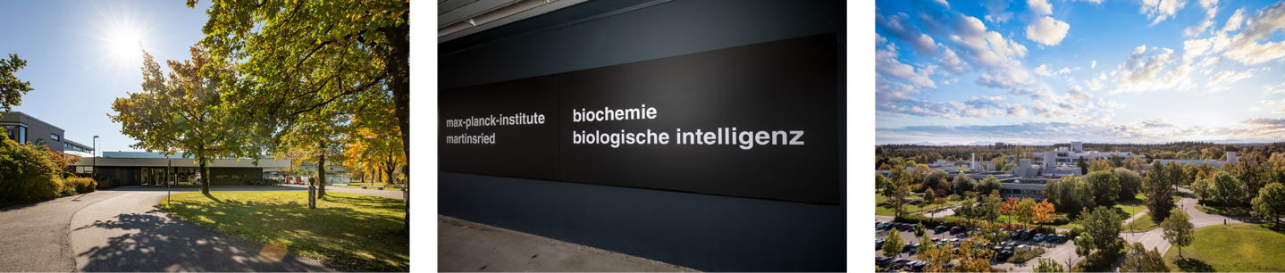 A black and white sign

Description automatically generated