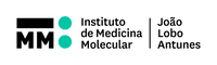 iMM – Instituto de Medicina Molecular