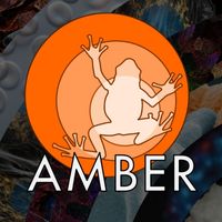 Amber 4th Postdoc Fellowship call