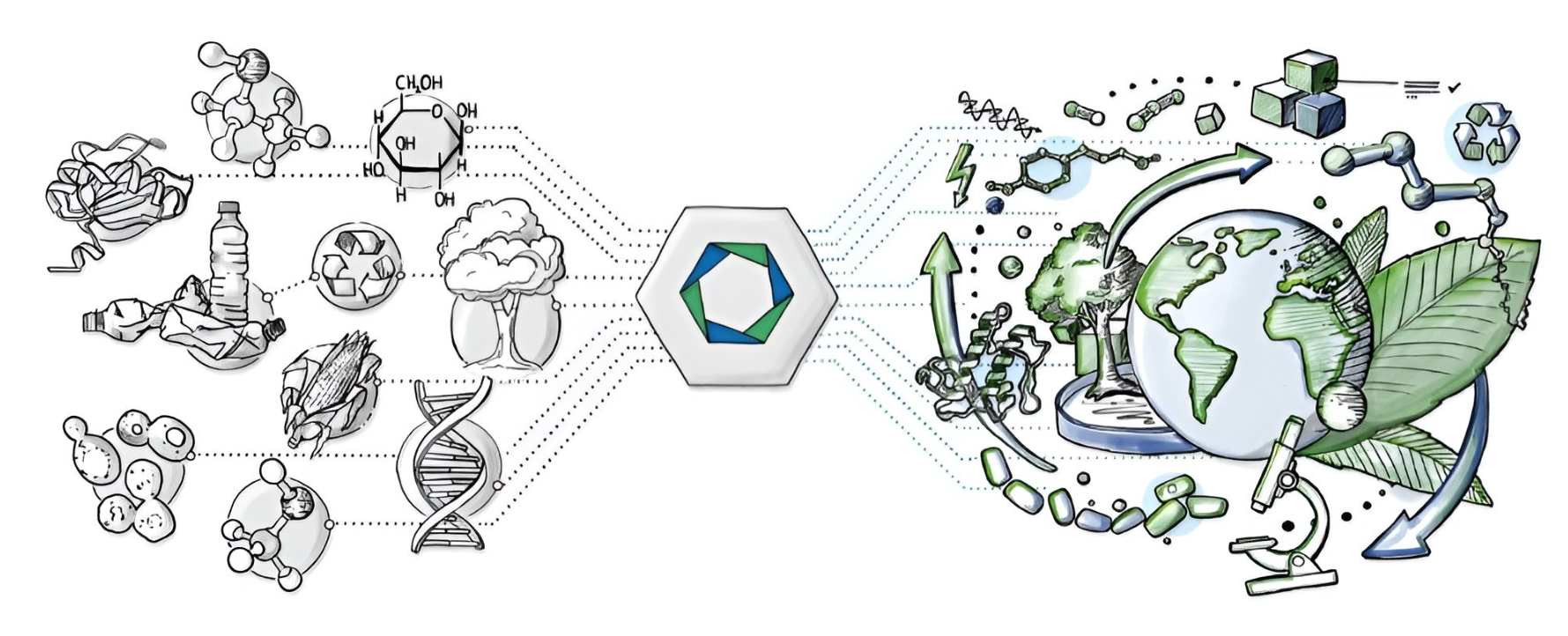 A diagram of different types of science

AI-generated content may be incorrect.