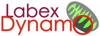 Labex Dynamo
