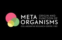 MetaOrganism
