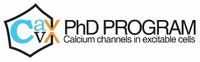 Neuroscience PhD program CavX