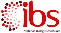 Structural Biology Institute (IBS)